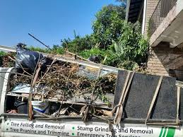 Best Hoarding Cleanup  in Harvard, IL
