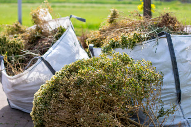 Best Residential Junk Removal  in Harvard, IL
